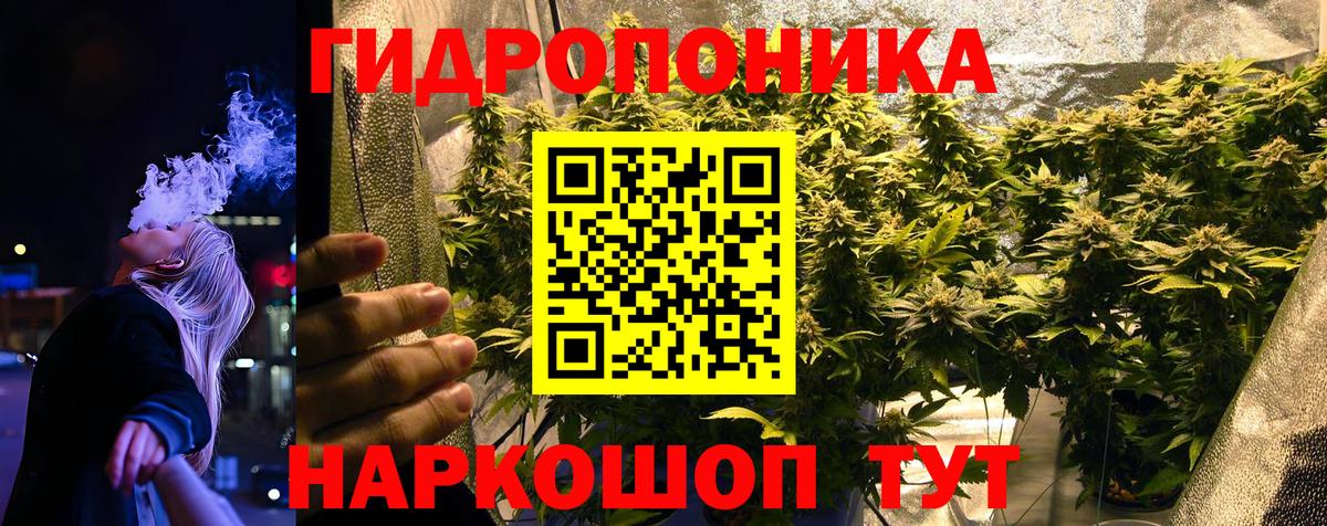Бошки марихуана ГИДРОПОН  МАРИХУАНА семена  Бошки марихуана White Widow  Вход с VPN  Каннабис Bruce Banner  Артём 